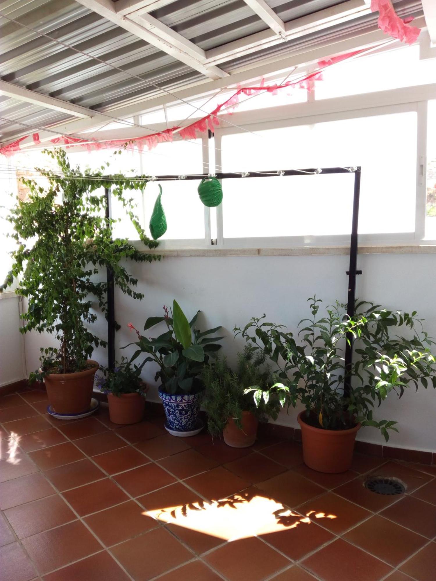 Hostal Rural Montual Los Banos  Ngoại thất bức ảnh